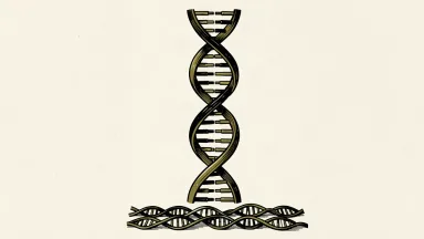 Illumina stock outperforming peers: a large DNA helix rises vertically above several smaller, horizontal DNA strands.